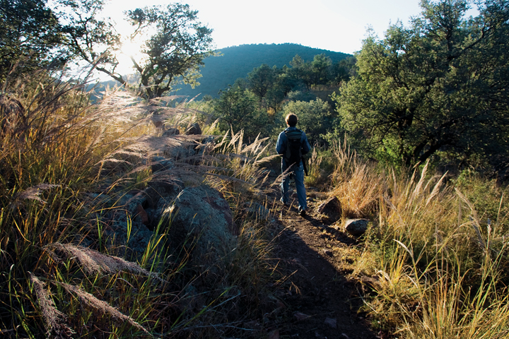 This Nature Conservancy Trail allows access to the Davis Mountains ecological 