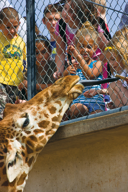 Abilene Zoo. And thanks to a recent expansion here, Visitors have more than 160 species to study in spacious habitats at the Abilene Zoo. Photo by J. Griffis Smith.