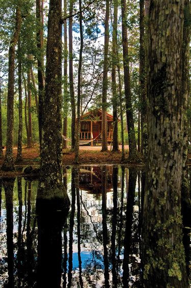 The cozy and quiet Cabins in the Thicket, near Kountze on McNeely Lake, await visitors, just five minutes from the Big Thicket Visitors Center. (Photo by Stan A. Williams)