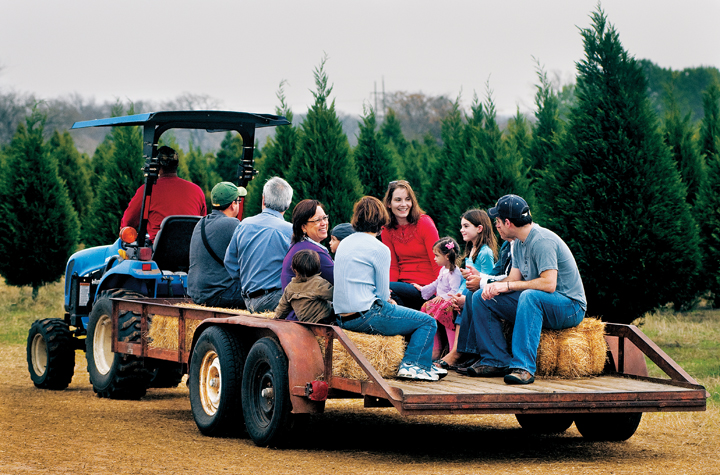 Visitors at the Elgin Christmas Tree Farm take a hayride out to the tree fields. (Photo by Michael Amador)