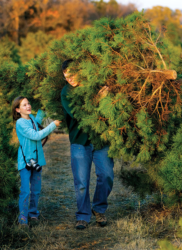 At Evergreen Farms in Elgin, Bret Humphrey shoulders the load while his daughter Taryn pro­vides canopy support.