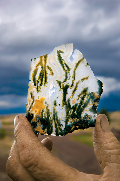 This pom-pom agate (green moss agate with bursts of yellow argonite) was uncovered at Needle Park, south of Terlingua. (Photo by J. Griffis Smith)