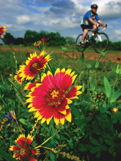 A bicycling mecca with bucolic byways, Fayetteville hosts a stage reace every spring. (Photo by J. Griffis Smith)