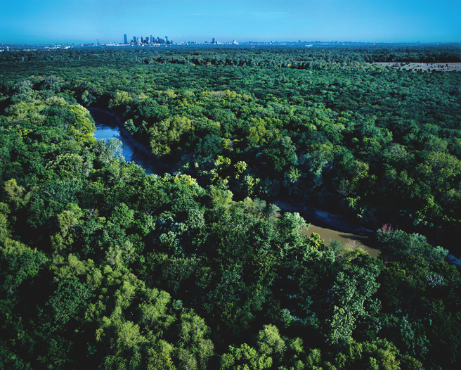 South of downtown Dallas, the Trinity River Audubon Center helps preserve a 6,000-acre, hardwood forest. (Photo by Scott Miller)