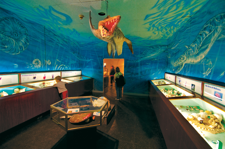 The Heard Natural Science Museum & Wildlife Sanctuary brings natural history to modern-day relevance.