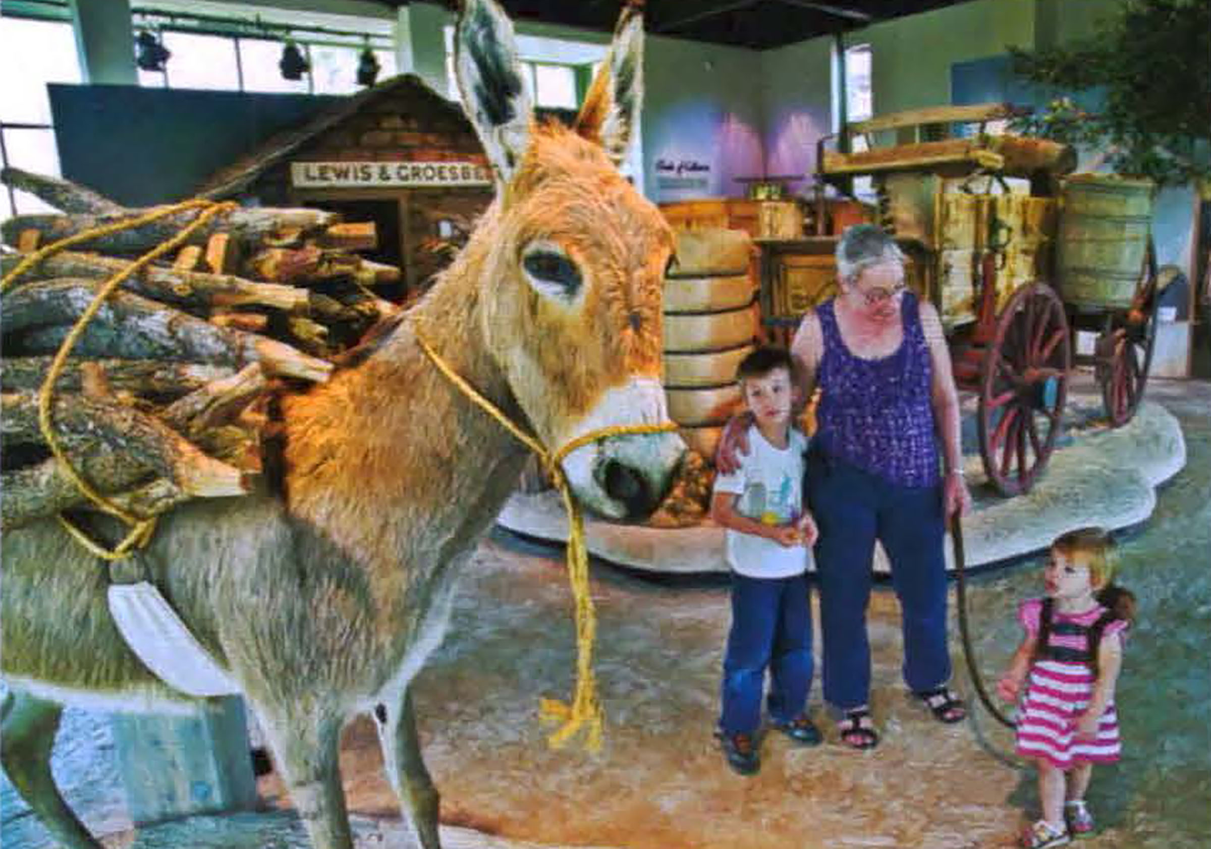 A woman and two children look at exhibit