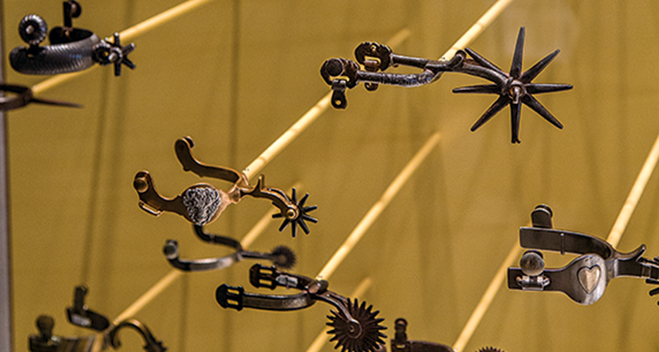 In the Movement Gallery, more than 100 spurs are displayed in an aquarium-like setting.