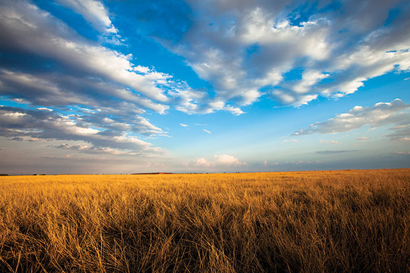 Expansive skies over the Lubbock-area landscape. Photo © Jerod Foster