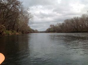 Kayaking the Colorado River at McKinney Roughs