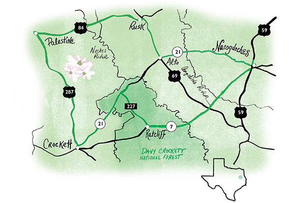 Illustration of East Texas Wildflower roadtrip