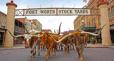 lg the-fort-worth-herd-without-drover