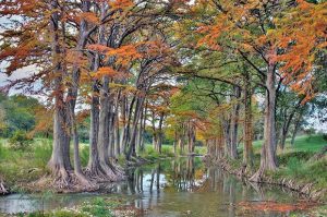 Readers’ View: Texas Fall