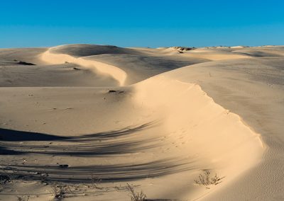 Secrets of the Sands