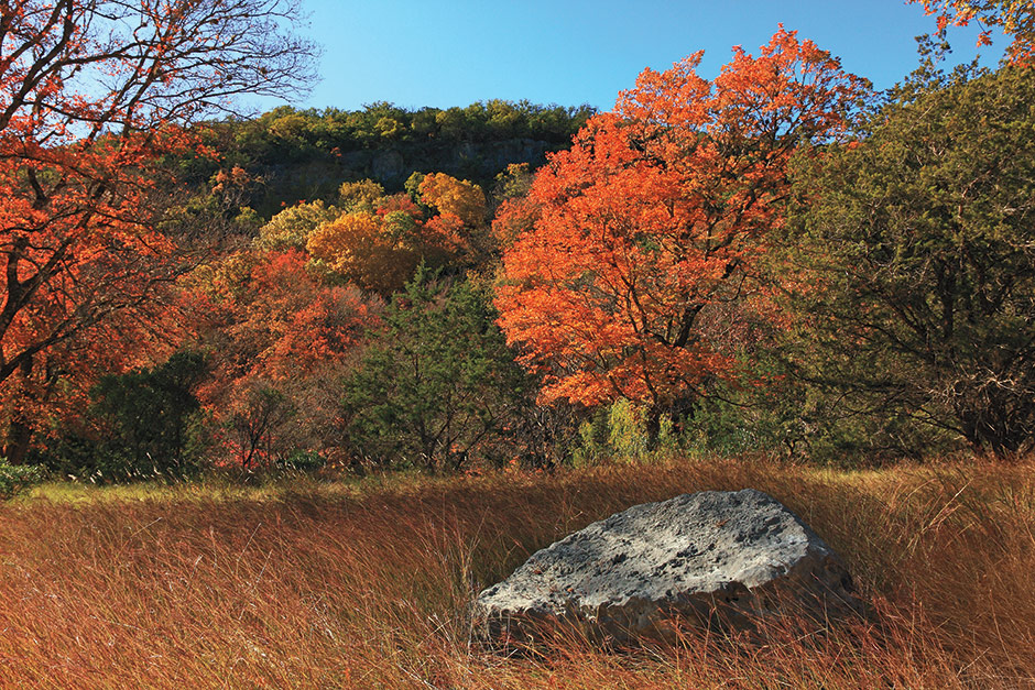 Lost Maples State Natural Area (Photo © Eric W. Pohl)