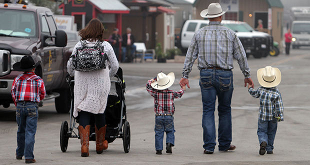 Cowboy texas