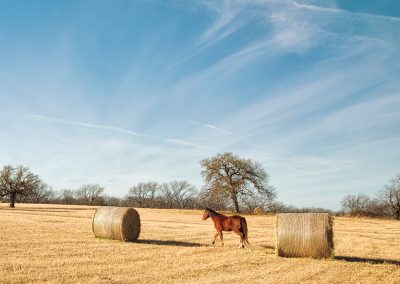 A Red River Road Trip