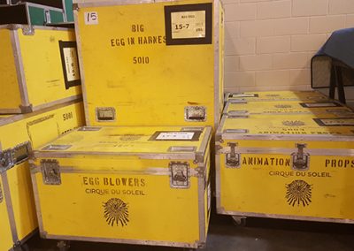 Cirque: Behind the Scenes