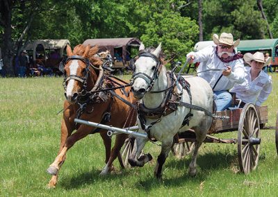 1836 Chuckwagon Races
