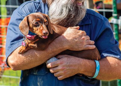 Buda Wiener Dog Races