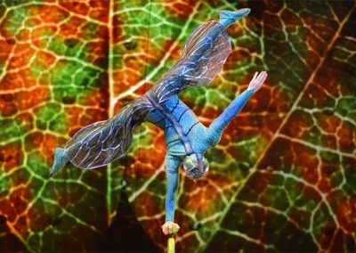 Cirque Act