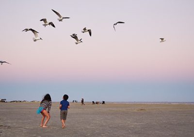 Natural Galveston
