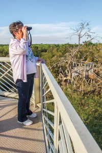 The Alamo Inn B&B Welcomes Birders Flocking to the Rio Grande Valley