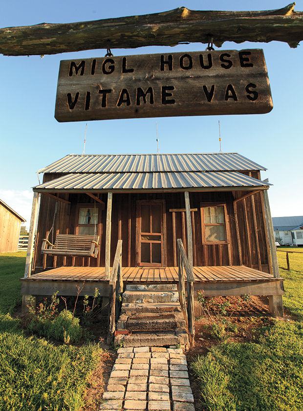 Migl house