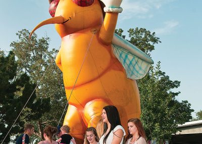 Great Texas Mosquito Festival