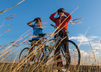 Biking with Birds