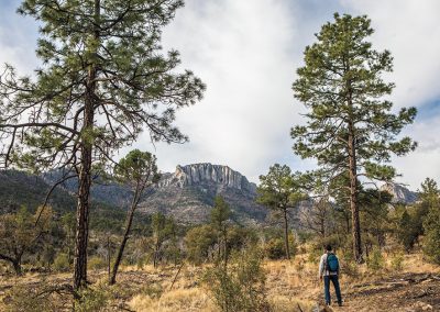 Scenic Route: High Road
