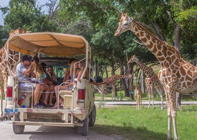 Where to Celebrate Father’s Day in Texas