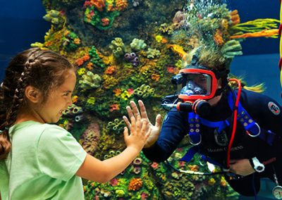 5 Things to Know in Texas Travel this Week, June 5-11