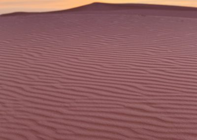 Texas’ Top Natural Wonders: Monahans Sandhills