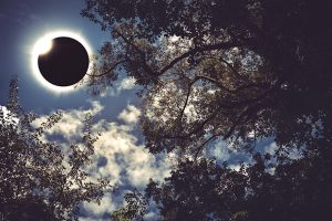 Eclipse Viewing in Texas