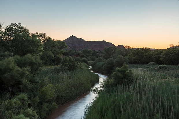 palo duro 0413