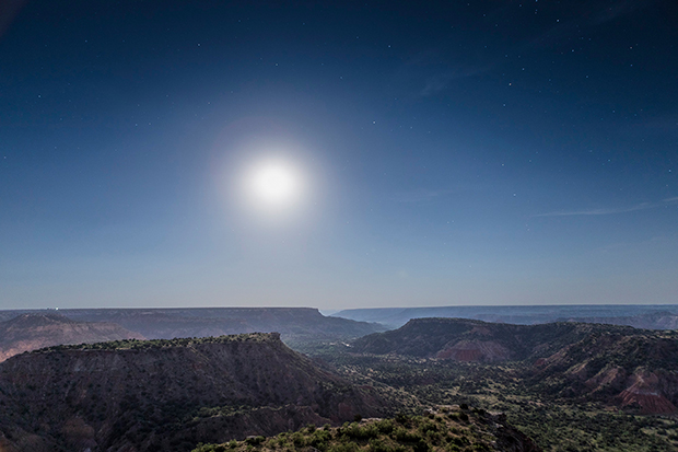 palo duro 0453