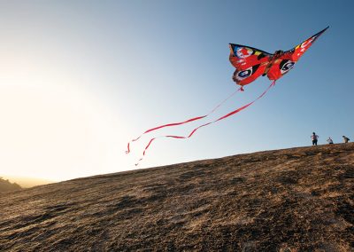 Scenic Route: Flying Colors at Enchanted Rock