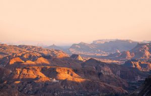 Wildlife Watch at Big Bend Ranch State Park