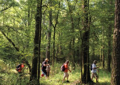 Explore the Lone Star Hiking Trail in East Texas