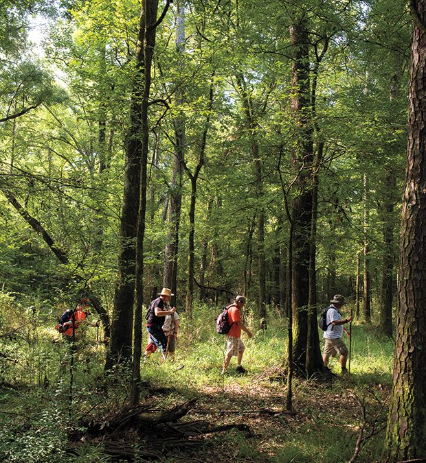 Explore the Lone Star Hiking Trail in East Texas