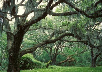 Brazos Bend State Park extends its closure