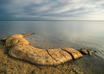 Scenic Route: Cooper Lake State Park