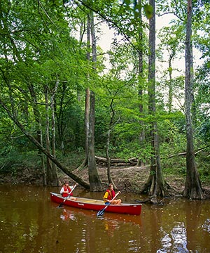 Village Creek is best-known for its paddling trails.