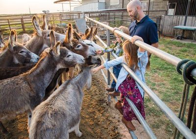 Pet and Feed Donkeys at Peaceful Valley Donkey Rescue in San Angelo