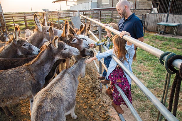 Visitors can stop by for a free tour any day of the week and spend time petting and feeding the rescue ranch's donkeys.