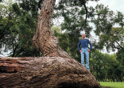If These Trees Could Talk