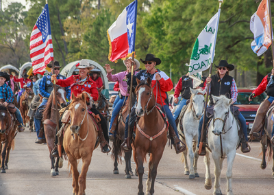 Houston Livestock Show and Rodeo