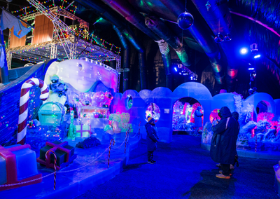 Ice Land
