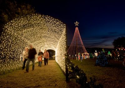 Free Things to Do This Weekend: Nov. 24-26