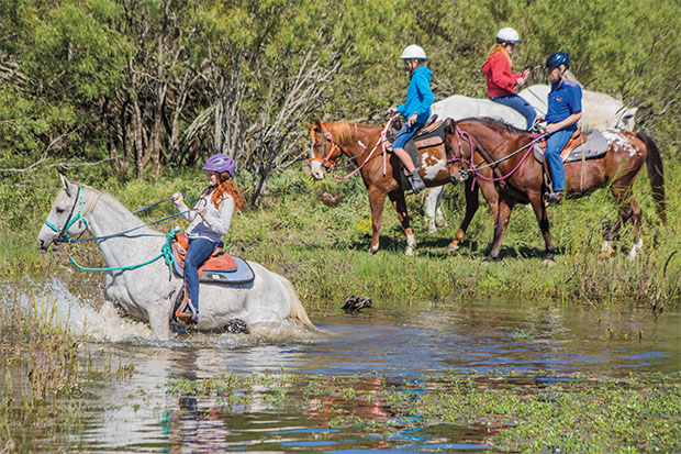 A young horseback rider rides her hose out of a pond